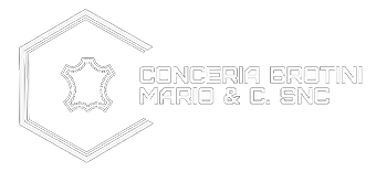 Conceria Brotini Mario &C